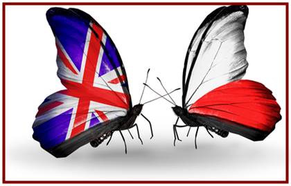 English Learning Polish